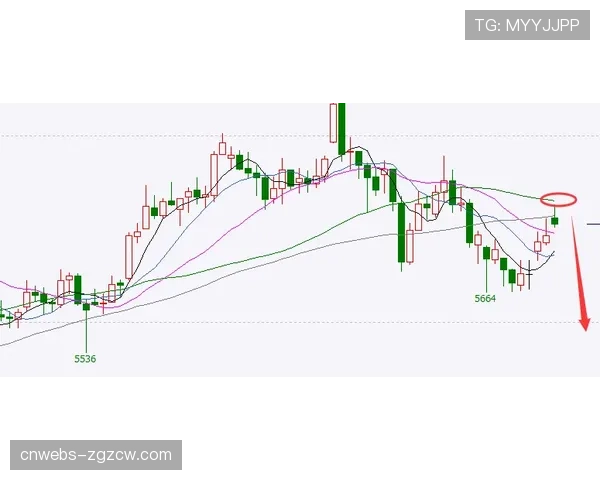 联盟考虑在下赛季测试新型电子哨，以精确判定边线发球五秒违例